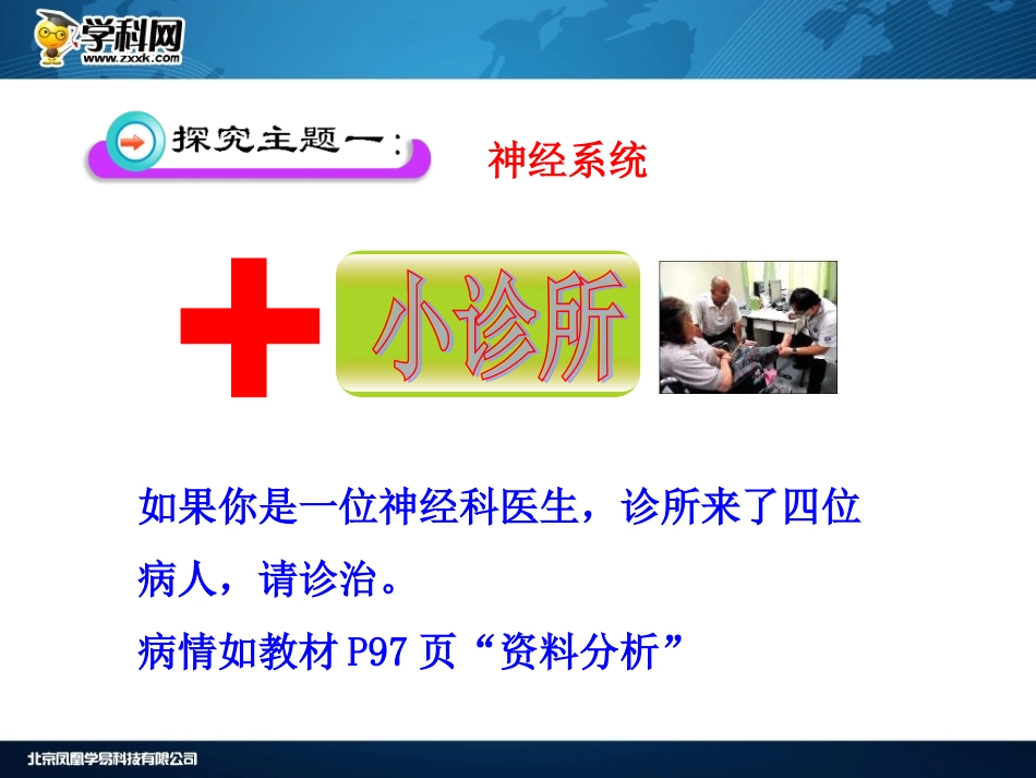 《神经系统的组成》课件_第3页