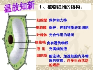 细胞的分裂生长