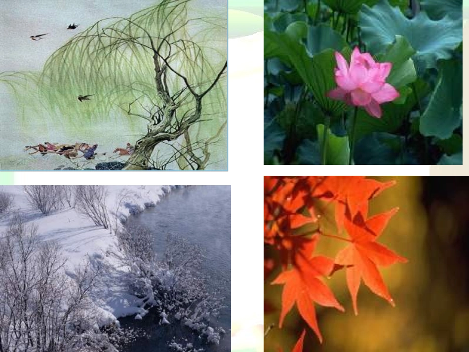 八年级语文大自然的语言2_第1页