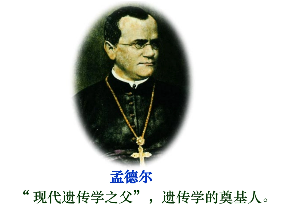 第3节基因的显性和隐性_第2页