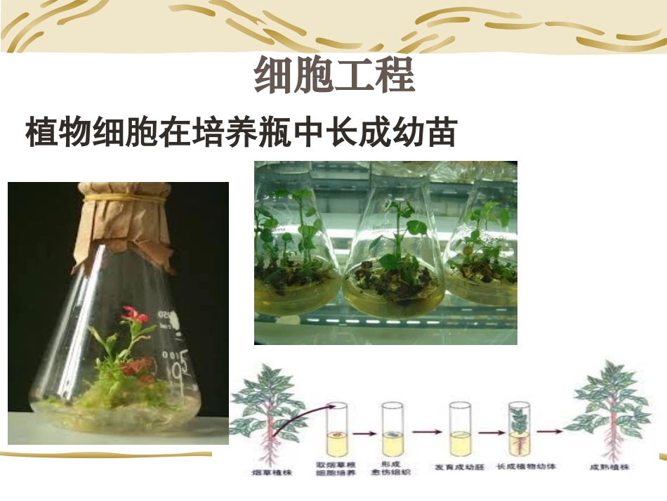 从生物圈到细胞0901_第1页