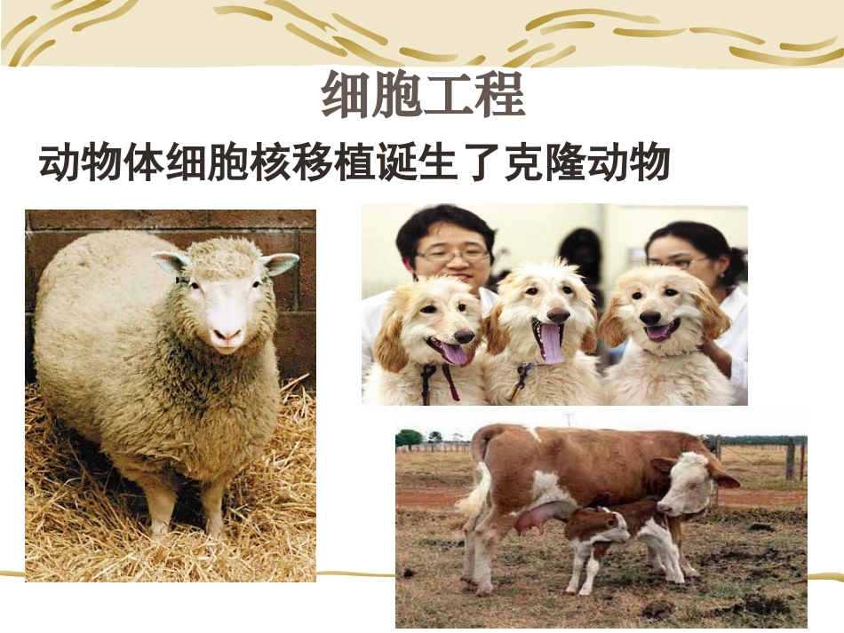 从生物圈到细胞0901_第2页