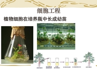 从生物圈到细胞0901