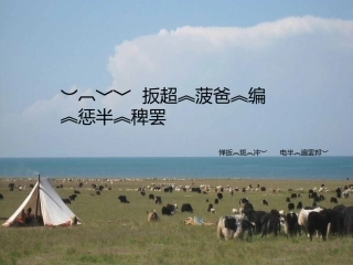 高原牦牛课件
