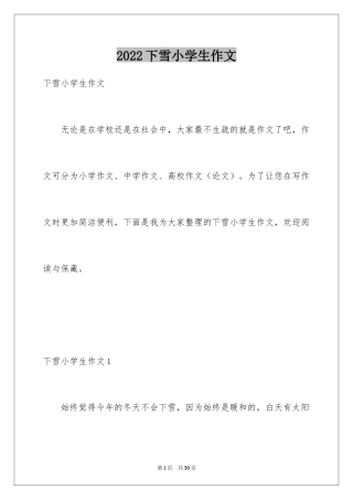 2024下雪小学生作文