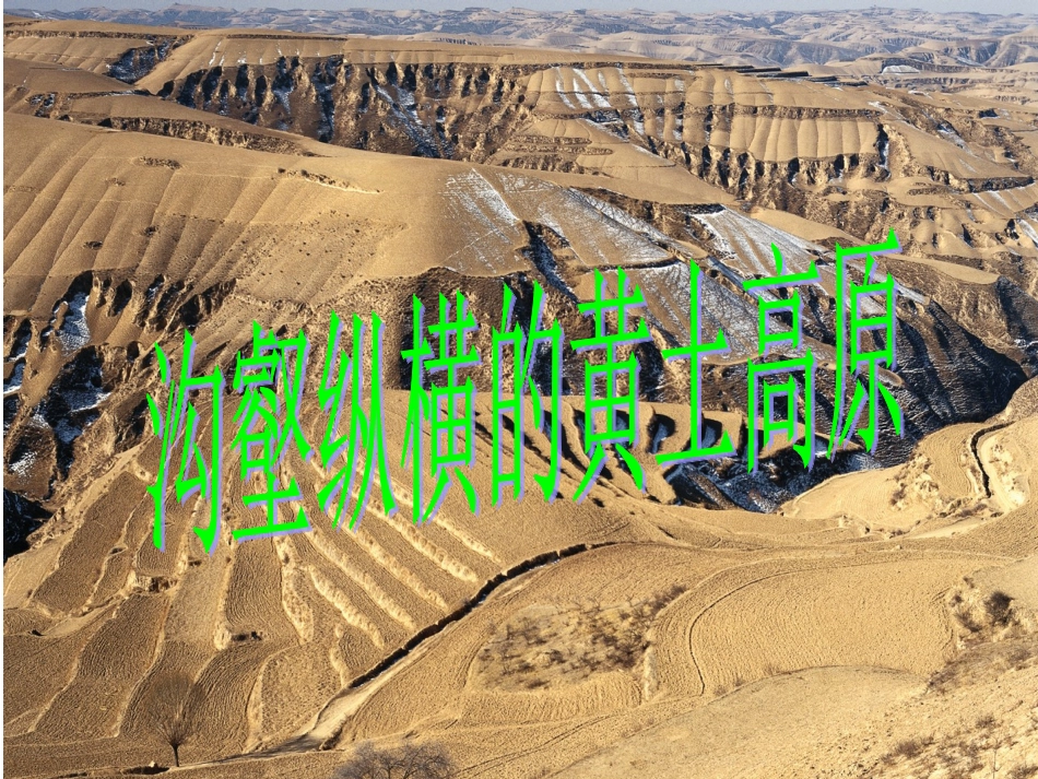 沟壑纵横的黄土高原_第1页