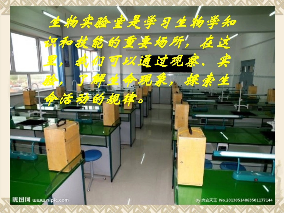 第一节走进生物实验室---胡根平_第3页