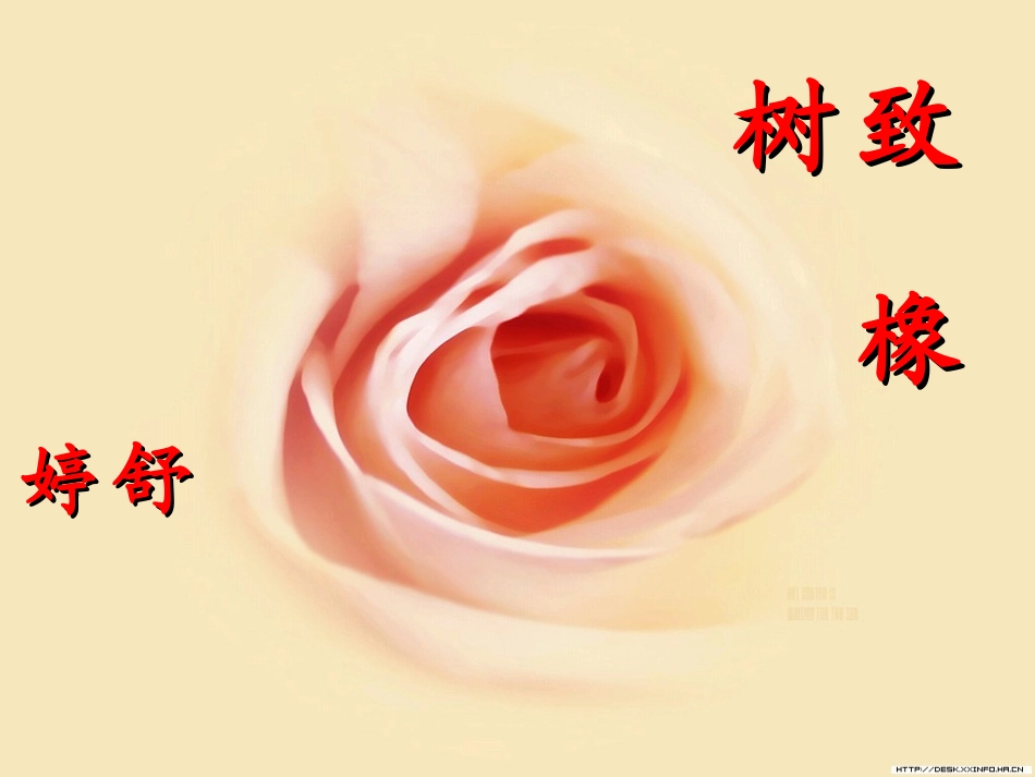 致橡树 (2)_第1页