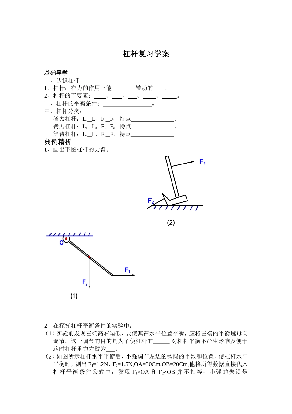 杠杆复习教案_第3页