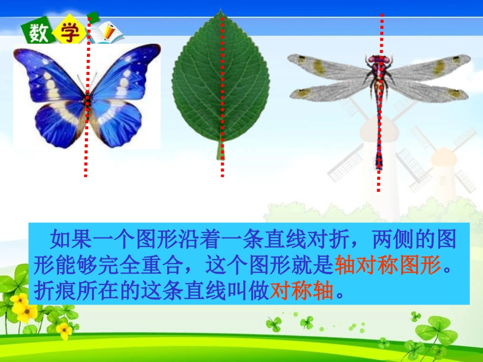 轴对称PPTayxamgul_第2页