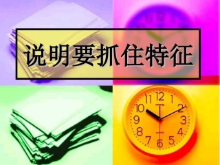 说明要抓住特征