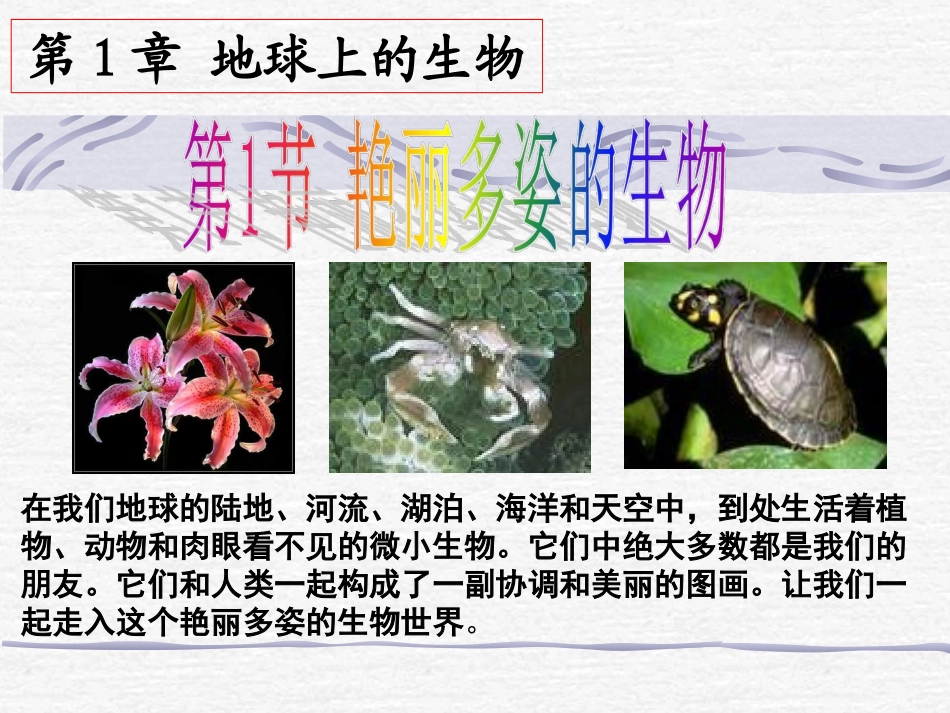 -艳丽多姿的生物_第1页