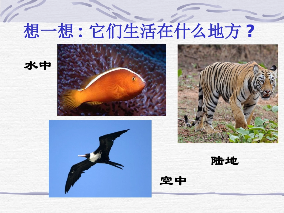 -艳丽多姿的生物_第2页