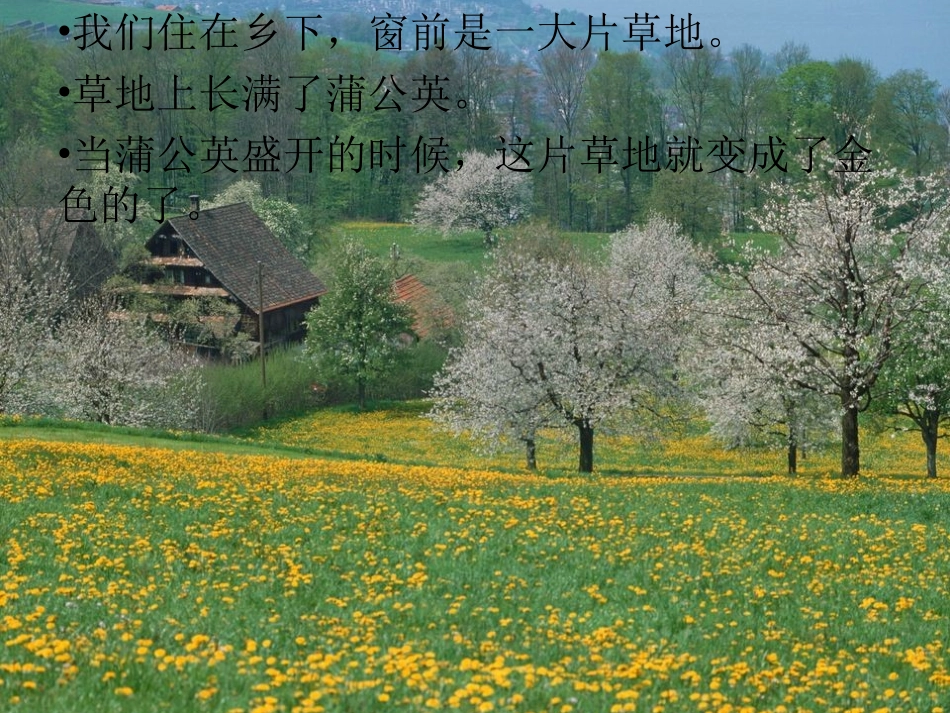 金色的草地 (5)_第2页