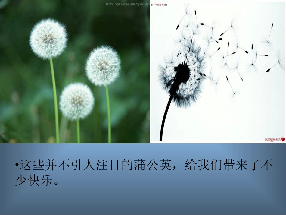 金色的草地 (5)_第3页