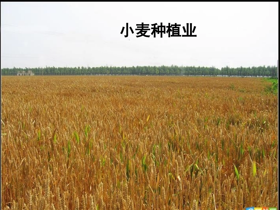 农业区位因素与农业地域类型_第2页