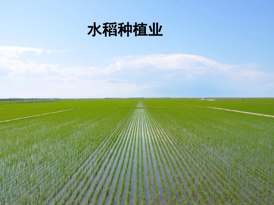 农业区位因素与农业地域类型_第3页