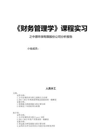 中原环报财务分析报告