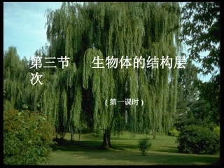 生物的结构层次（）