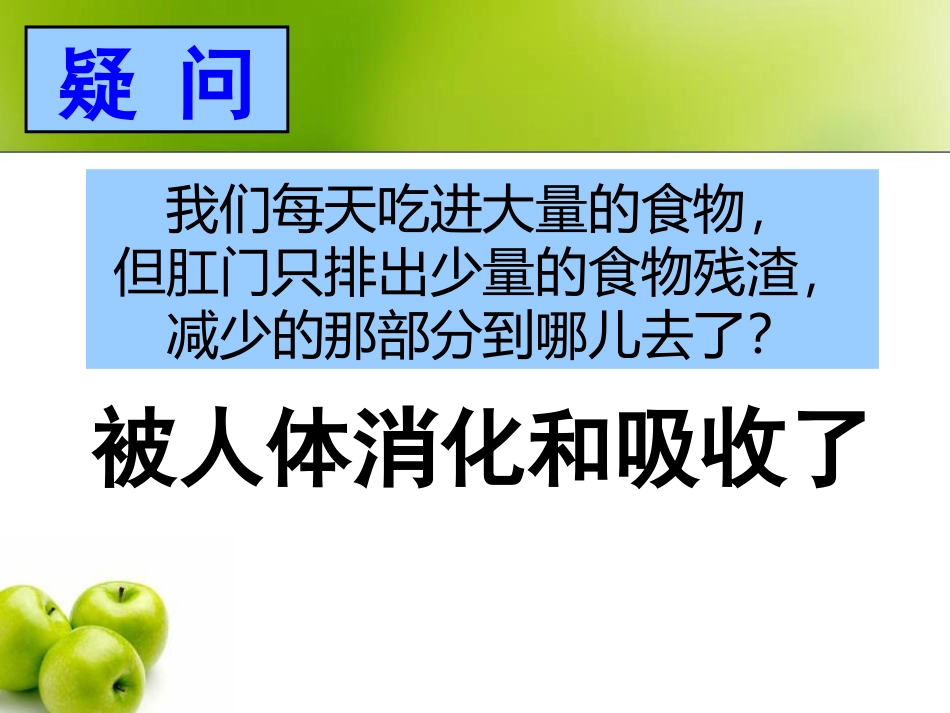浙教版食物的消化与吸收课件_第3页