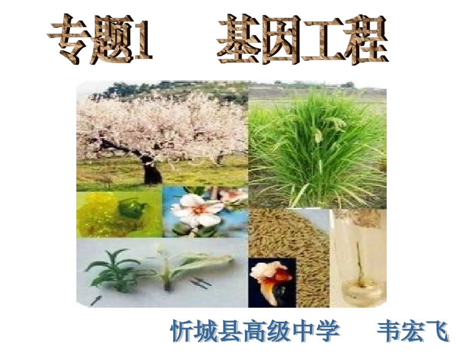 DNA重组技术的基本工具_第1页