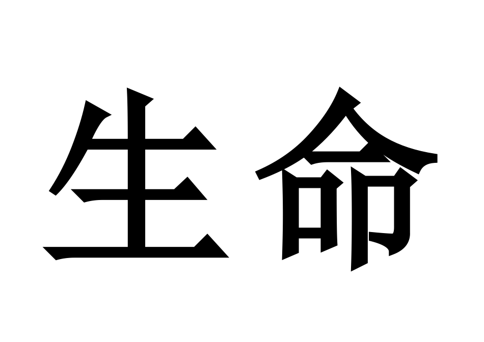 珍爱生命安全第一_第2页