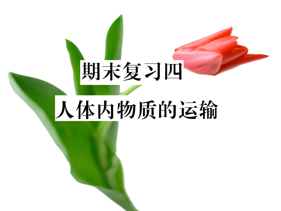 期末复习四人体内物质的运输_第1页