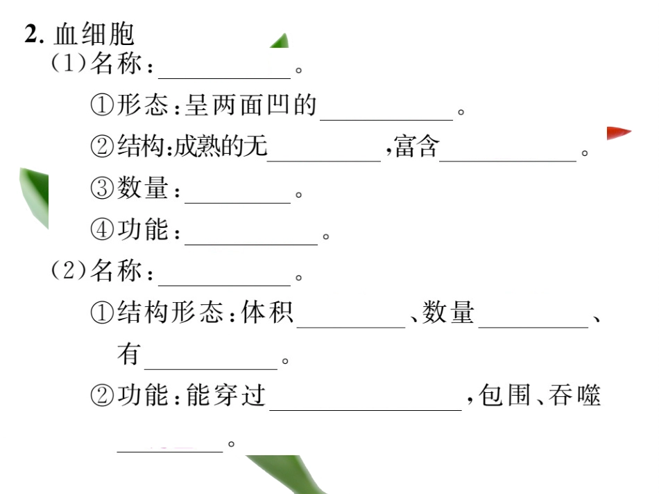 期末复习四人体内物质的运输_第3页