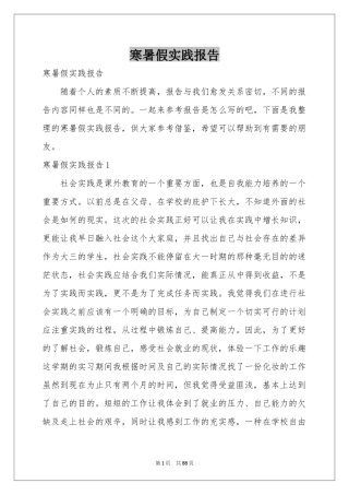 寒暑假实践报告