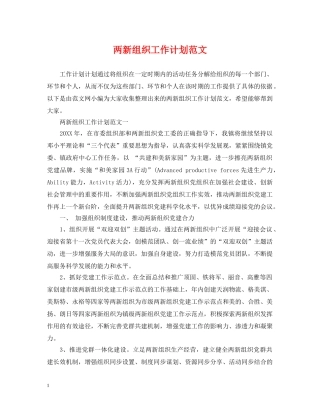 两新组织工作计划范文 