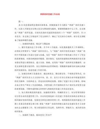两新组织党建工作总结 