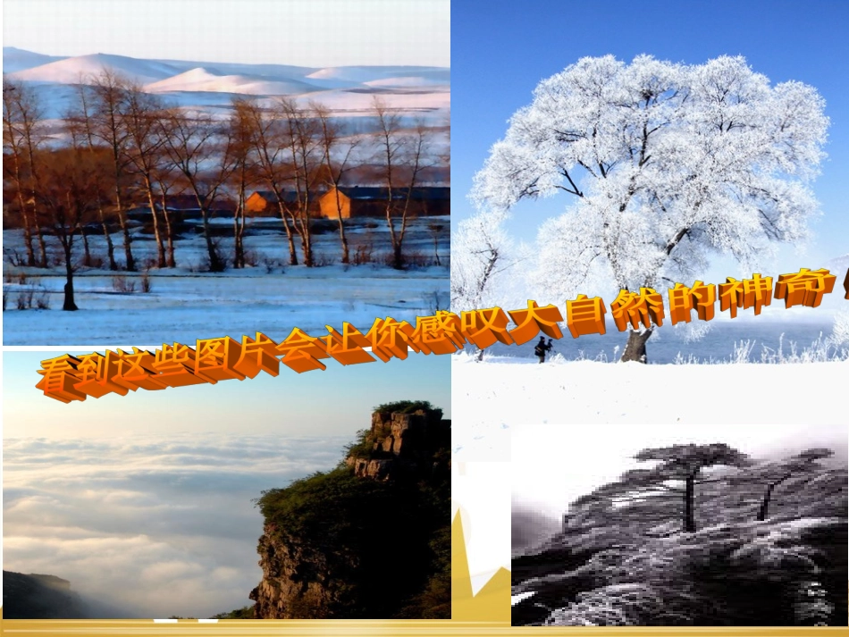 第二单元第一节水分子运动1刘_第3页