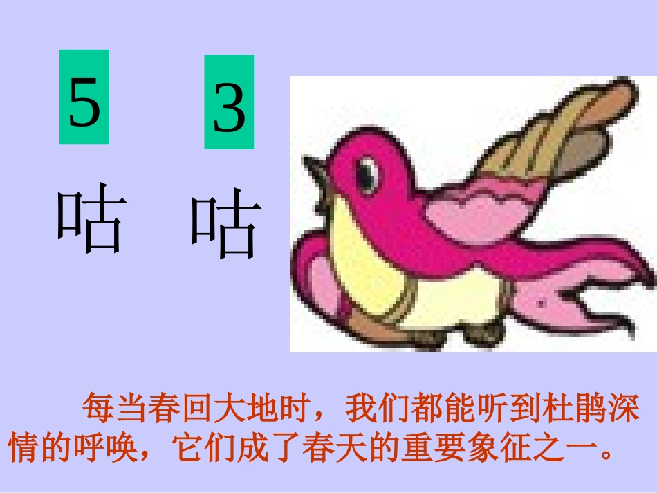 顽皮的杜鹃课件_第3页