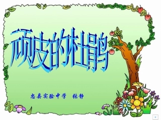 顽皮的杜鹃课件