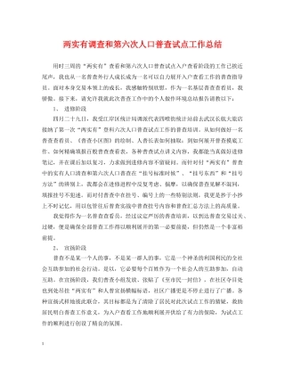 两实有调查和第六次人口普查试点工作总结 