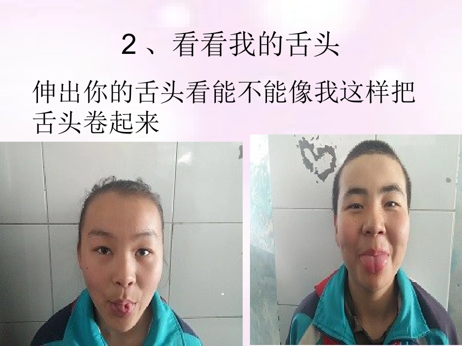 《生物的遗传现象》课件_第2页