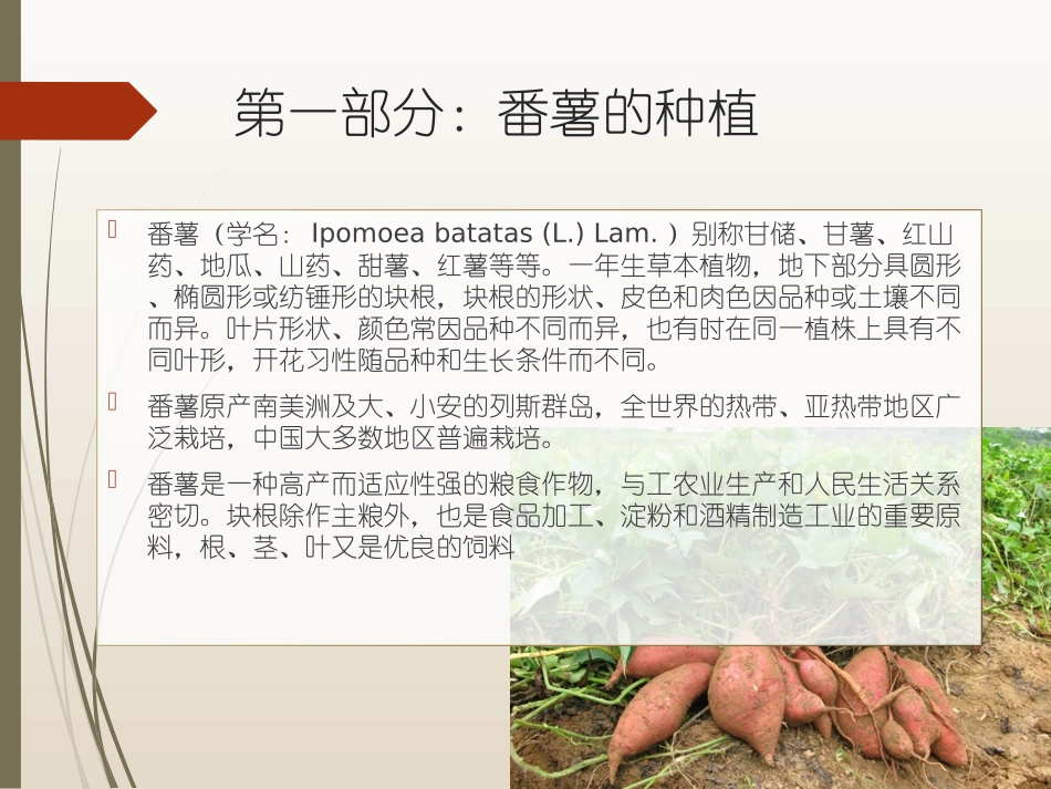 学种植第二课_第2页