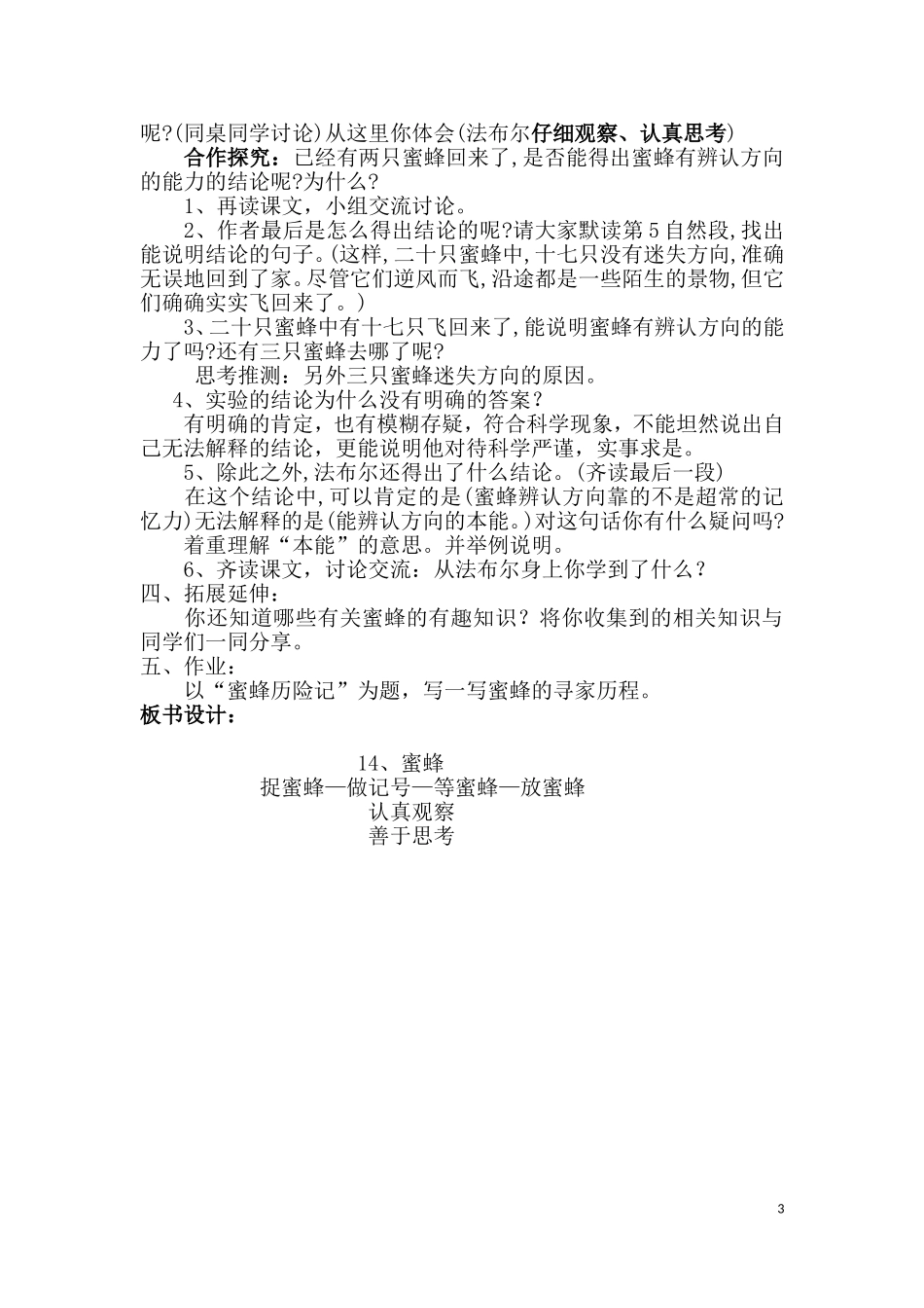 蜜蜂集体备课_第3页