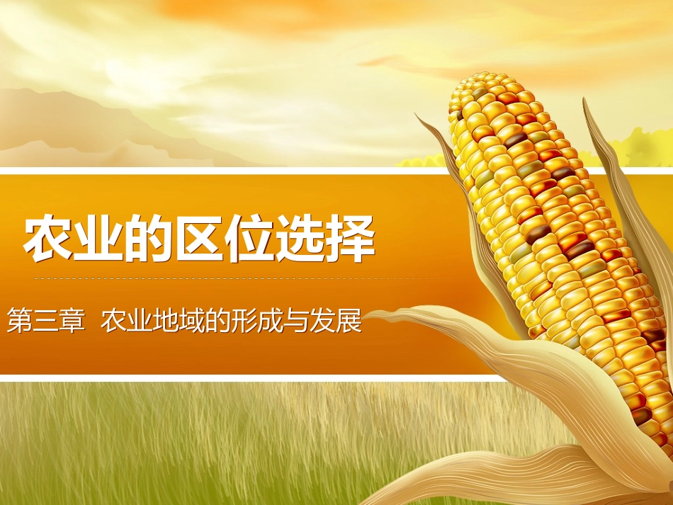 农业的区位选择课件_第2页