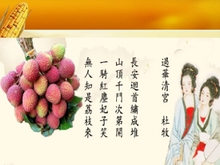 农业的区位选择课件