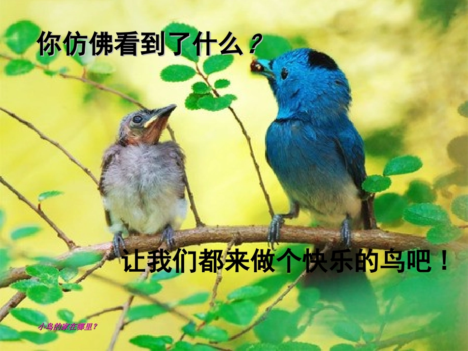 二年级上美术课件-小鸟的家-浙美版【小学学科网】_第2页