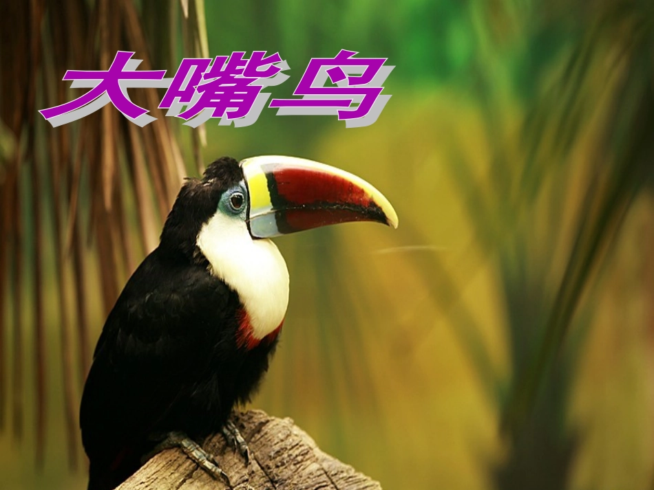 二年级上美术课件-小鸟的家-浙美版【小学学科网】_第3页