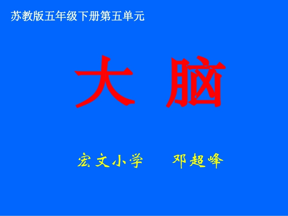 （苏教版）五年级科学下册大脑_第1页