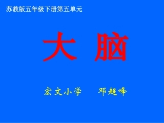 （苏教版）五年级科学下册大脑