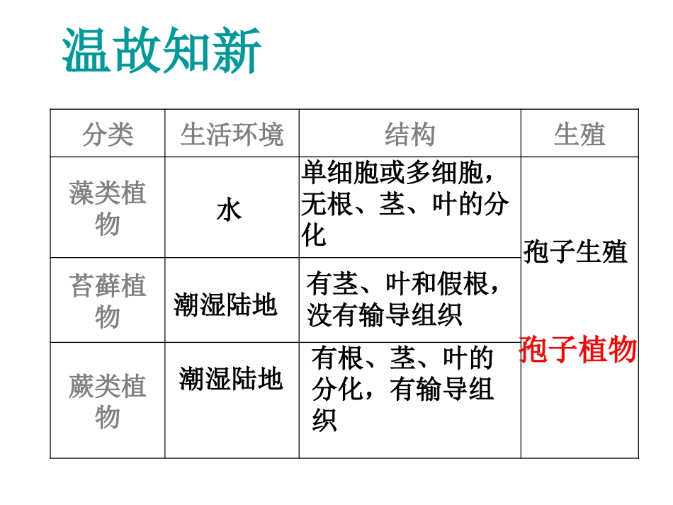 种子植物课件_第1页