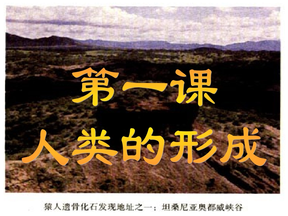 《人类的形成》课件03_第1页