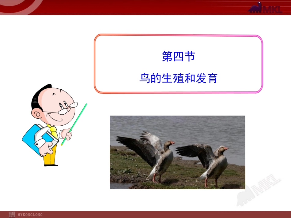 鸟的生殖和发育_第1页