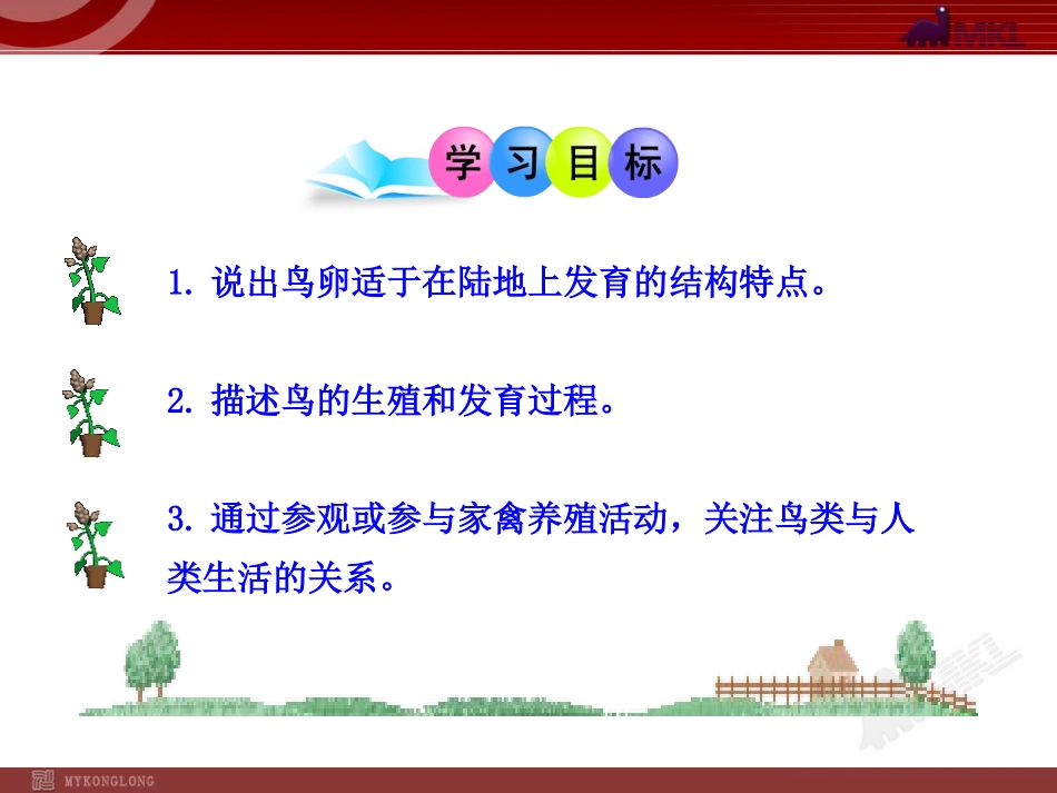 鸟的生殖和发育_第3页