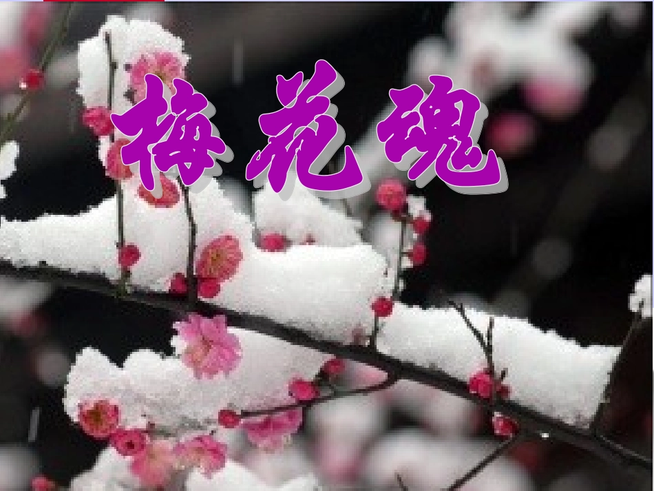 人教版小学语文五年级上册《梅花魂》PPT课件_第2页