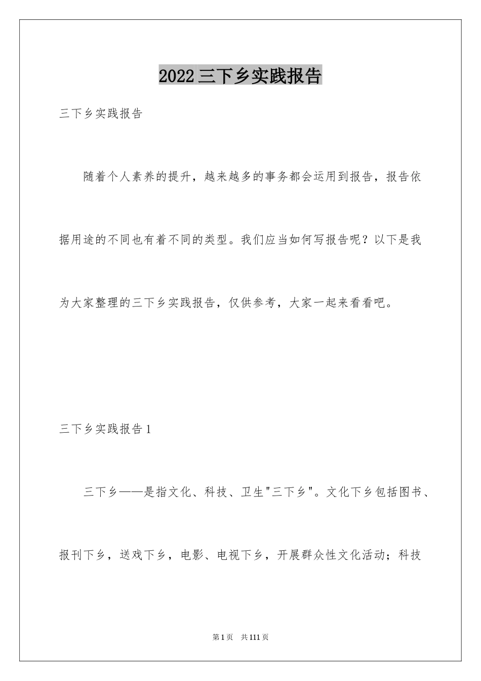 2024三下乡实践报告_1_第1页